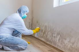 Best Residential Mold Inspection & Testing  in Burton, OH