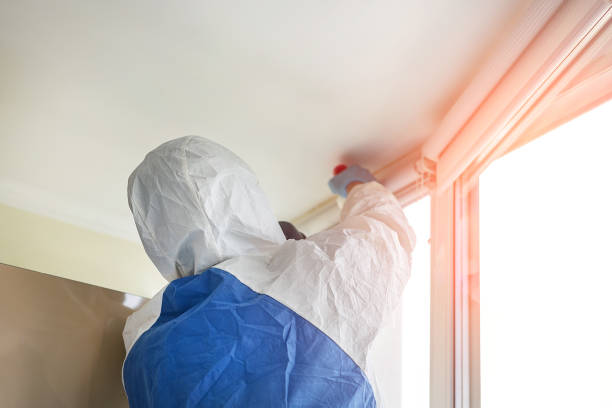 Best Mold Remediation for Healthcare Facilities  in Burton, OH