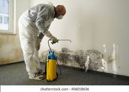 Best Emergency Mold Remediation  in Burton, OH